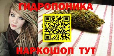 спайс Можга