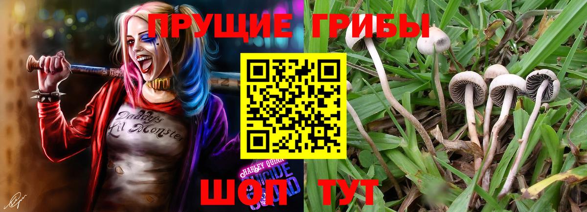 Псилоцибиновые грибы MAGIC MUSHROOMS  Вход с VPN  Советский 