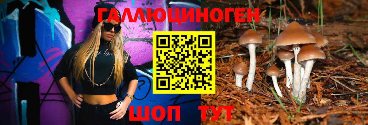 Галлюциногенные грибы мухоморы Советский